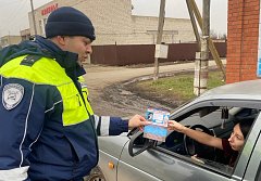 В связи с участившимися случаями дистанционного мошеничества и с целью профилактики данного вида преступлений сотрудниками Госавтоинспекции были проведены профилактические беседы с водителями транспортных средств. 