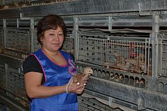 Бибинур Кайрова-хозяйка птичьего поголовья